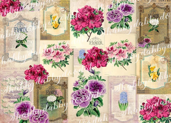 27 Pg BOTANICAL COLLECTION Floral Summer Vintage Flowers