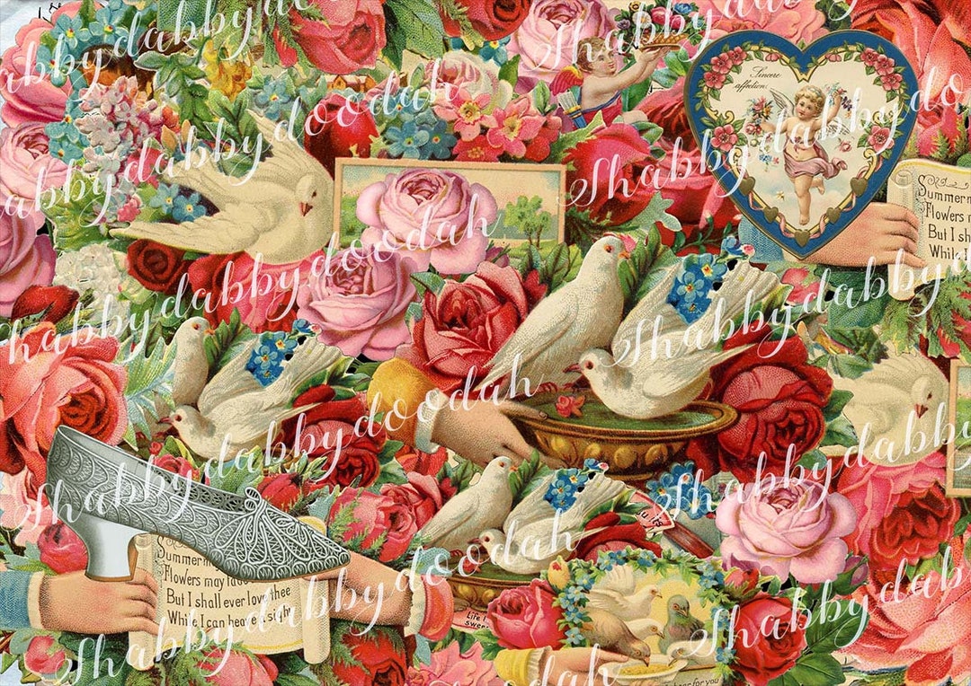 ヴィクトリアンスクラップブック ヴィクトリア朝 スクラップ帖 写真集 A Victorian Scrapbook