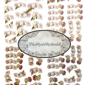 May include: A digital paper pack with a vintage aesthetic featuring multiple images of delicate, cream-colored roses with brown centers. The images are arranged in rows and columns on a white background. The text "Shabbydabbdydoodah" is in a decorative font on a vintage oval frame.
