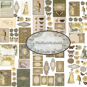GOSFORD GREEN Mini kit completo de diário lixo Cortes complicados Cartões de registro para impressão - Pássaros Natureza Vintage Efêmeras etiquetas divertidas Conjunto completo de etiquetas