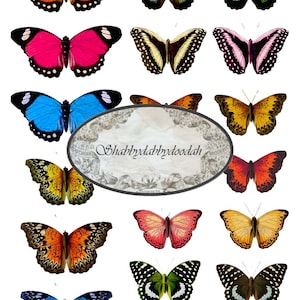 3 Pg HELDERE VLINDERS Butterfly Fussy Cuts Journaling Cards Junk Journal Printable - Card Making Ephemera Labels Complete Set