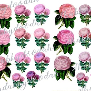 PINK ROSES Set -  11 Page Florals Flowers - Vintage Junk Journal Themed Digital Printable ephemera Tickets Ephemera