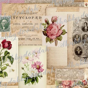 26 Pg From the VAULT 5th Edition COLLECTION Background Pages Themed Digital Print VINTAGE Photos Journaing Cards Junk Journal Printable Pink