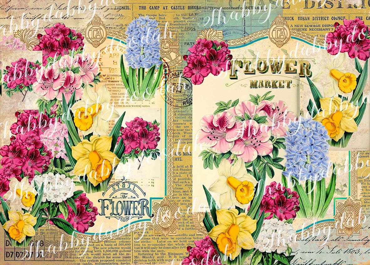 27 Pg BOTANICAL COLLECTION Floral Summer Vintage Flowers