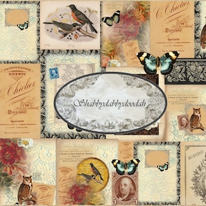 May include: A collage of vintage images featuring birds, butterflies, owls, and floral designs. The images are arranged in a grid pattern and have a distressed, antique look. The text "Shabbydabbydoodah" is visible in the center of the collage.