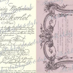 Peut inclure: Un document vintage avec des bordures orn&eacute;es et du texte en &eacute;criture cursive. Le document est intitul&eacute; "Division Matanzas" et comprend le texte "General Lavet Morlot (No. 265)".