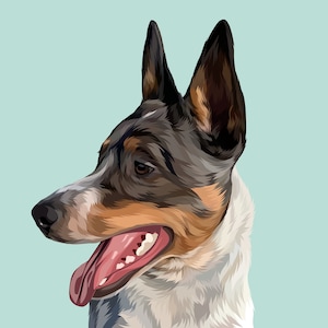 PET Vector art CUSTOM DRAWING 2 days or less!!!!!
