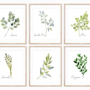 Watercolor Herbs Prints, Herb Wall Art, Herbs Kitchen Decor, Botanical Print, Herb Kitchen Art, Culinary Herb Print, Set of 6