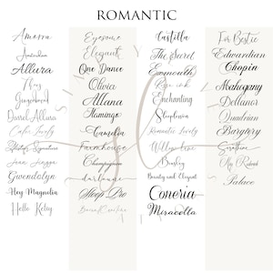Custom Mirror Decal for Any Event, Bridal Shower Mirror Decal, Birthday Mirror Decal image 7