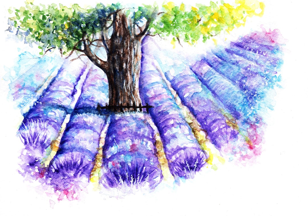 Lavender Fields Print Lavender Wall Art Picture Floral - Etsy UK