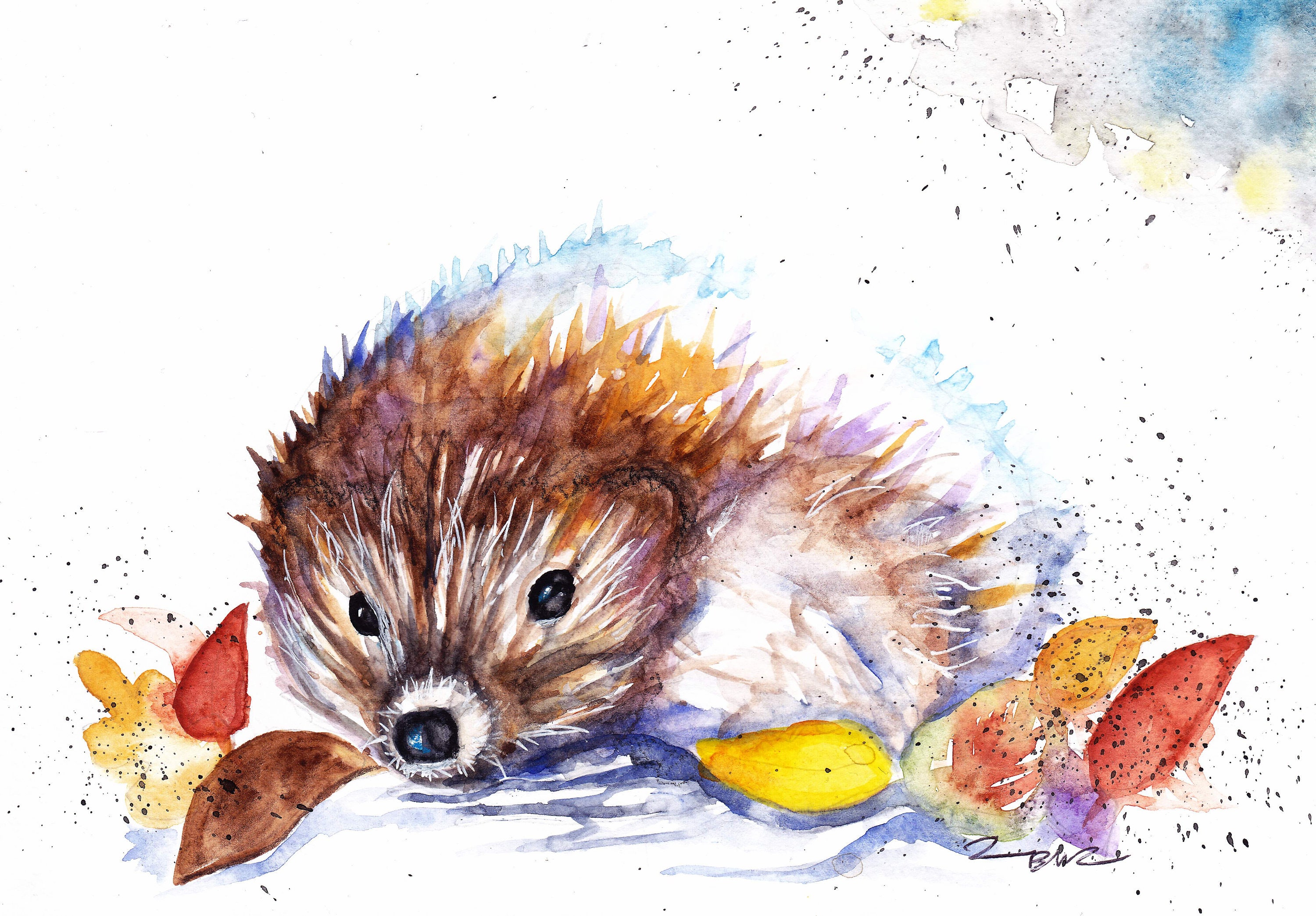 Igel Verkauf Original Aquarell Malerei Druck Karte | Etsy
