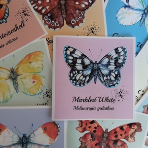 May include: A collection of cards featuring watercolor illustrations of different butterfly species. Each card has the common name and scientific name of the butterfly. The cards are printed on white cardstock with a pink, blue, or green background.