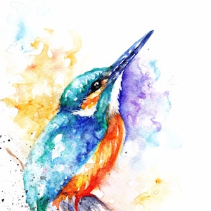 Kingfisher ,Original Watercolour Print ,kingfisher greetings card bird gift.