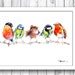 see more listings in the Birds and the Bees section