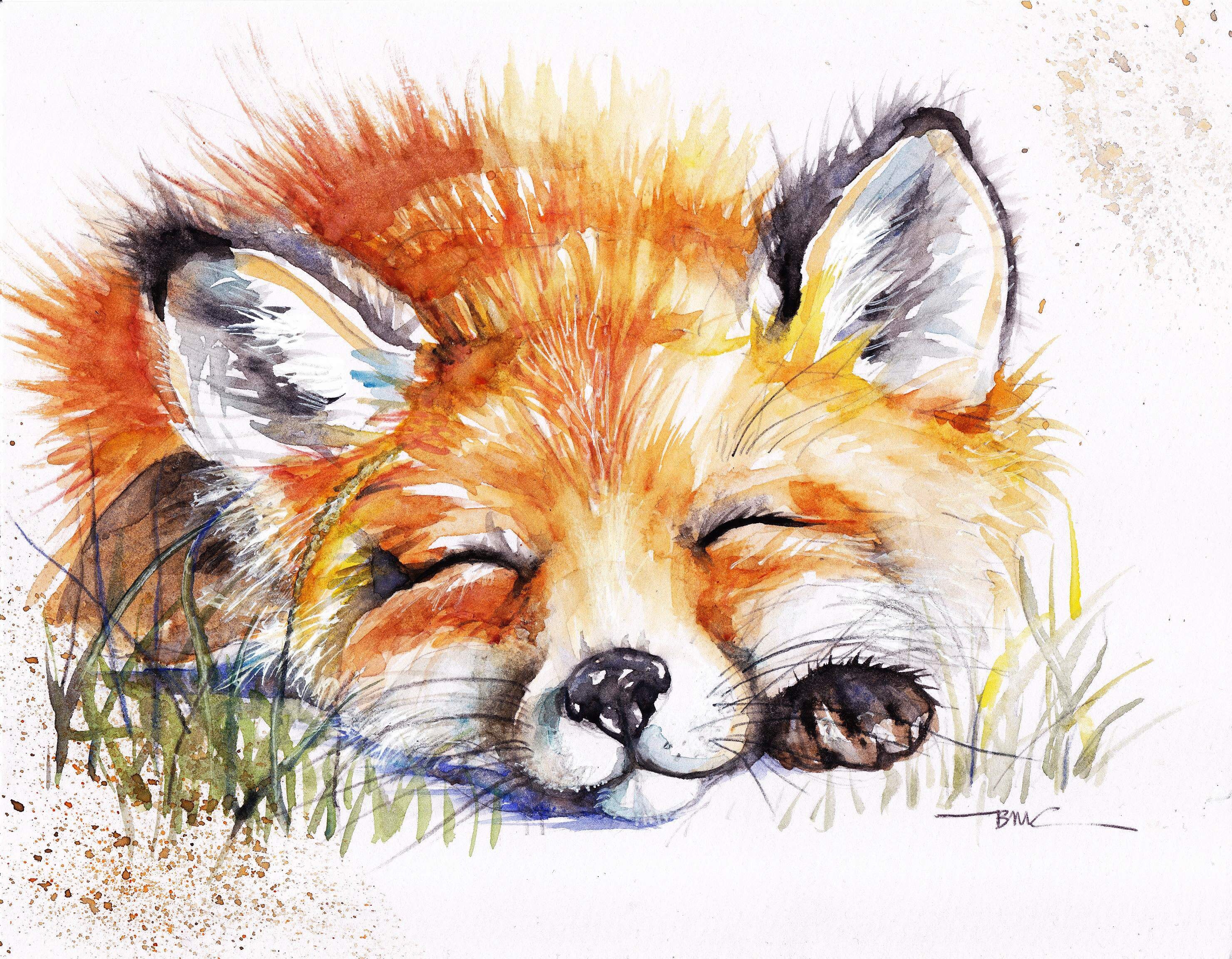 watercolour print Fox and bee Felix In a 14 x 11 mount. Printed directly onto watercolour paper