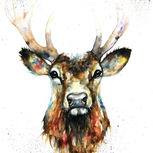 Original Stag Watercolour Print