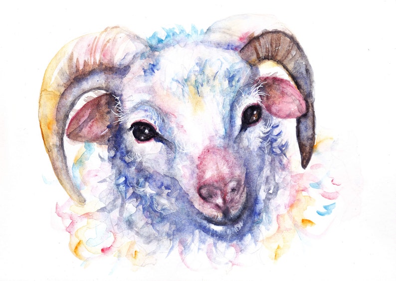 Farmyard Watercolour Print Farmyard Animal Original Watercolour Painting Ram Watercolour Picture