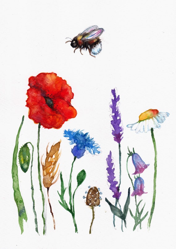 Frammed Picture Meadow Badger and Bee Watercolour Print Artcard Original art