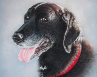 Dog portrait Custom Pet Portrait, Pet Painting, Dog Painting, Dog Owner'Gift, Personalized Pet Portrait in Pastel