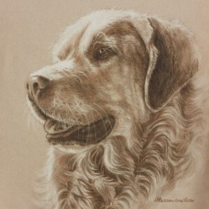 May include: A sepia toned drawing of a golden retriever dog with its head turned to the side. The dog has a soft, fluffy coat and a gentle expression. The drawing is signed "Alessandra Rossi Art" in the bottom right corner.