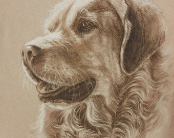 Custom  Dog  Portrait, Pet  Drawing, Painted Pet Portraits, Custom Dog  Art, Dog Owner Gift