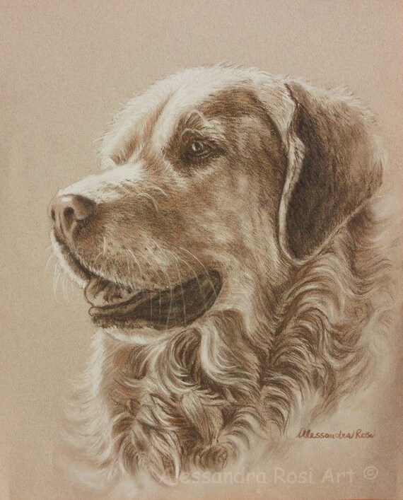 Custom  Dog  Portrait, Pet  Drawing, Painted Pet Portraits, Custom Dog  Art, Dog Owner Gift