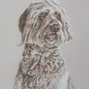 May include: A close-up portrait of a brown and white dog with curly fur. The dog is looking to the right of the image and has a happy expression. The dog's fur is detailed with light and dark shades of brown and white.