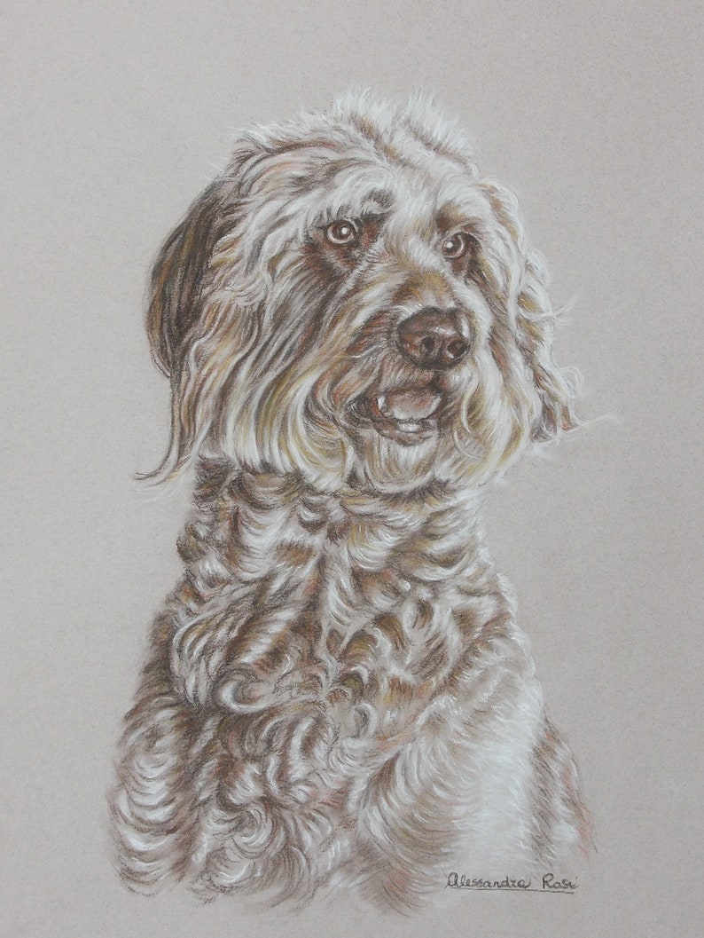 May include: A close-up portrait of a brown and white dog with curly fur. The dog is looking to the right of the image and has a happy expression. The dog's fur is detailed with light and dark shades of brown and white.