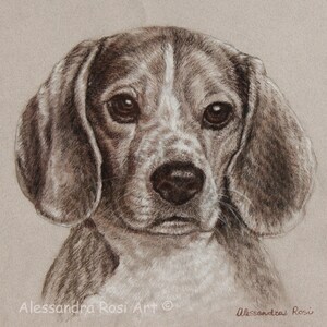 May include: A close-up portrait of a beagle puppy with brown and white fur. The puppy has large, dark eyes and a sweet expression. The background is a light brown.