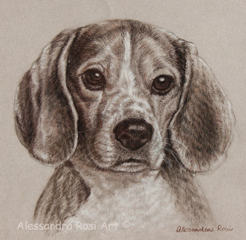 May include: A close-up portrait of a beagle puppy with brown and white fur. The puppy has large, dark eyes and a sweet expression. The background is a light brown.