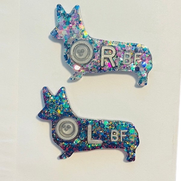 Corgi Dog X-ray markers positioning BBs Mitchell markers with initials