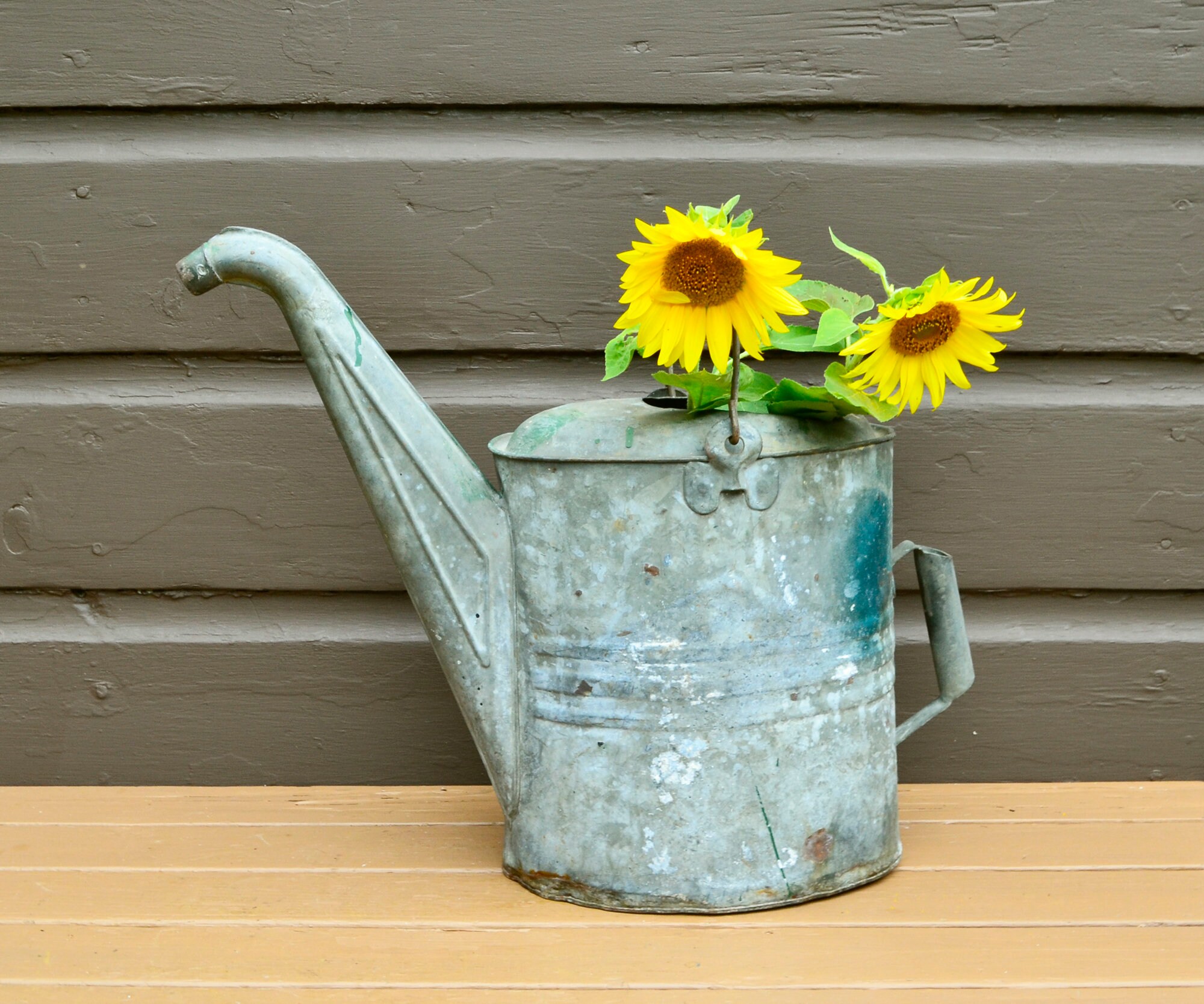 Watering Cans How To Use And Care For Them Horticulture