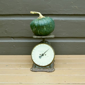 Antique Spring Scale, Columbia Family Scale, 24lb Scale, Old Rustic Gray Metal Scale