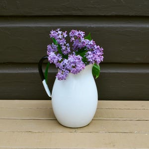 May include: A white enamel pitcher with a black handle and a vibrant bouquet of purple lilacs. The pitcher is set against a dark brown wooden background, creating a striking contrast. The flowers add a touch of color and freshness.
