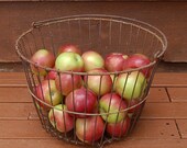 Large Wire Basket, Vintage Wire Basket, Orchard Basket, Rusty Apple Basket, Vintage Egg Basket