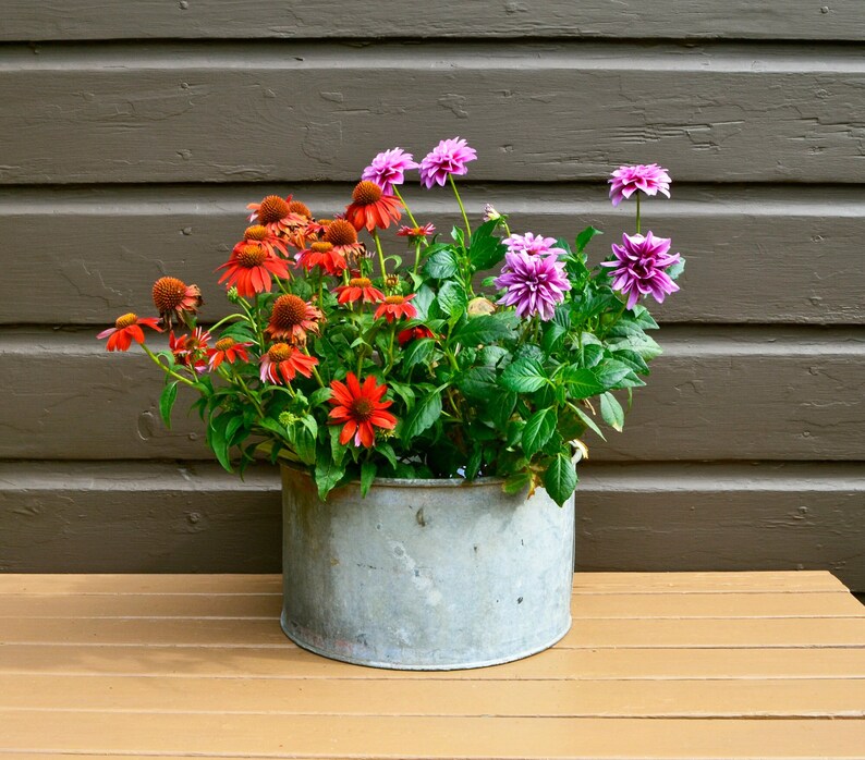 May include: A galvanised metal planter filled with a variety of pink and orange flowers. The planter is sitting on a wooden surface.