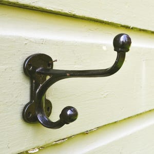 May include: A black, double-hook coat rack mounted on a light green painted wooden surface. The hook has two rounded knobs and a decorative backplate. The wood has visible grain and some paint chipping.