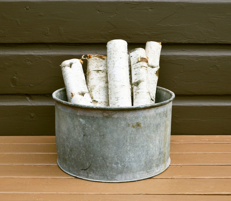 May include: A galvanised metal bucket filled with white birch logs. The bucket is sitting on a wooden surface.