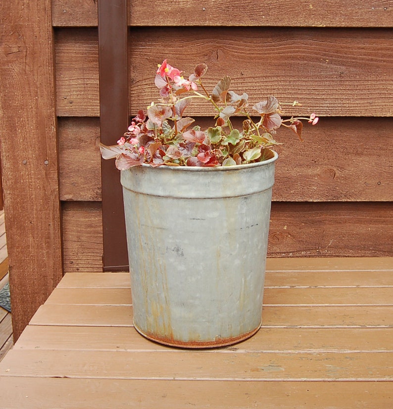 Galvanized Sap Bucket Vintage 3 Gallon Sap Pail Tall Rusty Etsy
