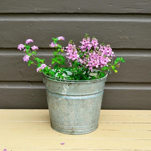 Galvanized Bucket, Vintage Farm Pail, Bucket, Galvanized Planter