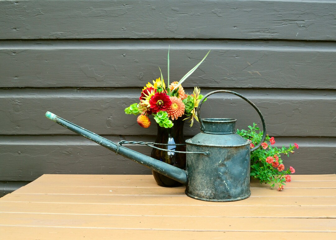 Large Watering Can, Antique Long Neck Watering Can, Rustic, Holey Leaky