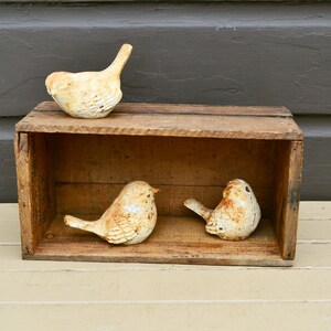 May include: Three decorative bird figurines in a rustic wooden crate. The birds are off-white with a distressed finish, and the crate is made of weathered wood. The birds are perched on the crate and inside the crate.