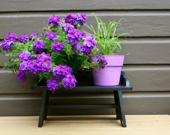 Vintage Wood Bench, Bench with Low Back, Plant Bench