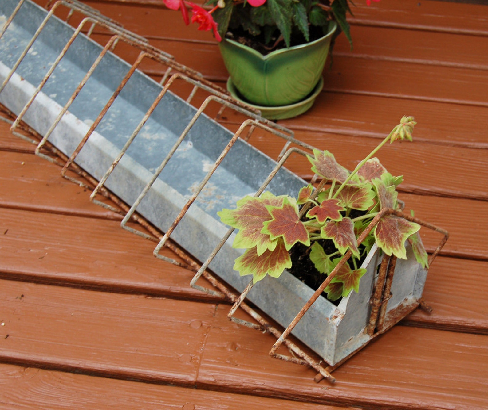 Galvanized Chicken Feeder Vintage 36 Feed Trough with Etsy