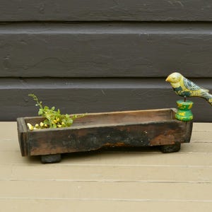 May include: A rustic, wooden planter with a distressed finish, featuring a decorative, painted bird figurine perched on one end. The planter contains greenery and small, yellow berries, adding a touch of nature. The bird is yellow, green, and blue.