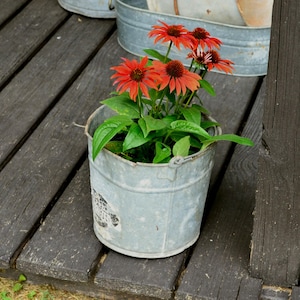 Galvanized Bucket, Vintage Farm Pail, Bucket, Rustic Galvanized Planter