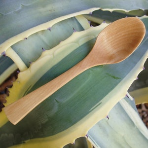 The Wooden Teaspoon in Maple, Dip or Garnish Serving Spoon, Oryoki Spoon, Thank-you Gift, Coffee or Tea Scoop, Sugar Spoon, Camp Spoon image 2