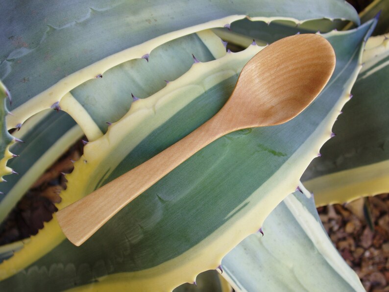 The Wooden Teaspoon in Maple, Dip or Garnish Serving Spoon, Oryoki Spoon, Thank-you Gift, Coffee or Tea Scoop, Sugar Spoon, Camp Spoon image 2