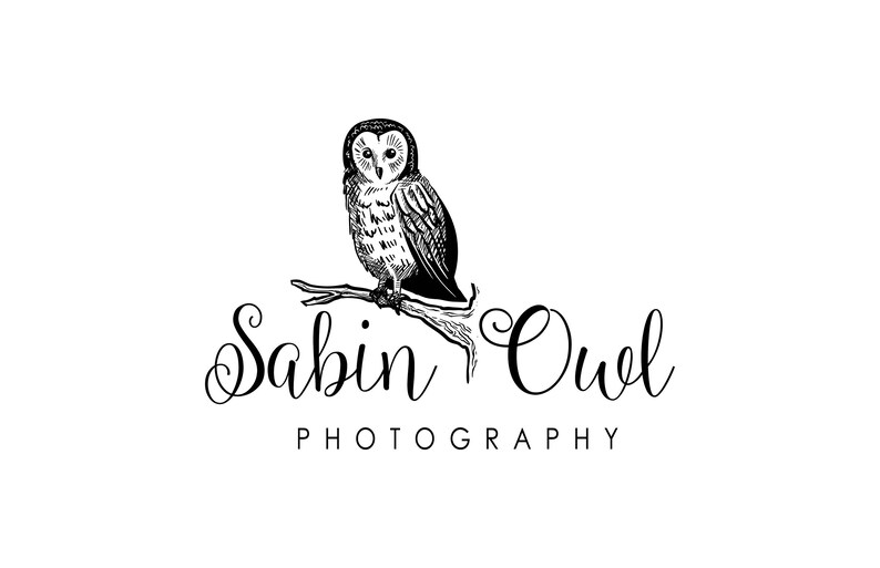 Owl on branch logo Eps and Png file watermark Premade | Etsy