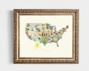 United States Vintage Map, State Flowers Instant Download - 1911 - Printable Map, Home Library, Home Decor,  Wall Art, Antique Map